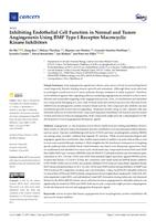 Inhibiting endothelial cell function in normal and tumor angiogenesis using BMP type I receptor macrocyclic kinase inhibitors