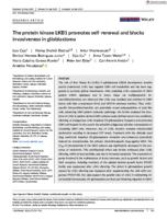 The protein kinase LKB1 promotes self-renewal and blocks invasiveness in glioblastoma