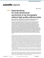 Deep denoising for multi-dimensional synchrotron X-ray tomography without high-quality reference data