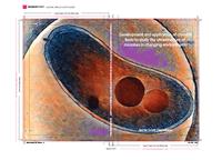 Development and application of cryo-EM tools to study the ultrastructure of microbes in changing environments