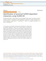 Identification of proximal SUMO-dependent interactors using SUMO-ID