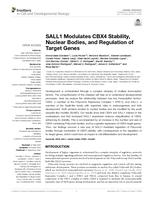 SALL1 modulates CBX4 stability, nuclear bodies, and regulation of target genes