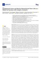 Transformed canine and murine mesenchymal stem cells as a model for sarcoma with complex genomics