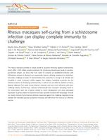 Rhesus macaques self-curing from a schistosome infection can display complete immunity to challenge