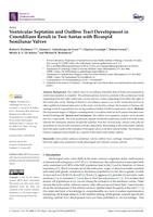 Ventricular septation and outflow tract development in crocodilians result in two aortas with bicuspid semilunar valves