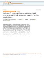 Helicase Q promotes homology-driven DNA double-strand break repair and prevents tandem duplications