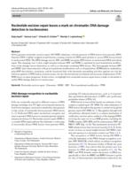 Nucleotide excision repair leaves a mark on chromatin: DNA damage detection in nucleosomes