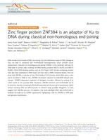 Zinc finger protein ZNF384 is an adaptor of Ku to DNA during classical non-homologous end-joining