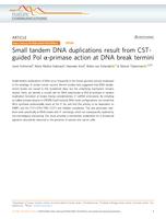 Small tandem dna duplications result from cst-guided pol α-primase action at dna break termini