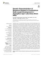 Genetic characterization of mutations related to conidiophore stalk length development in aspergillus niger laboratory strain N402