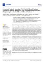 Proteomic analysis identifies FNDC1, A1BG, and antigen processing proteins associated with tumor heterogeneity and malignancy in a canine model of breast cancer