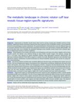The metabolic landscape in chronic rotator cuff tear reveals tissue-region-specific signatures
