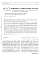 The 12CO/13CO isotopologue ratio of a young, isolated brown dwarf