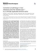 Correction of pathology in mice displaying Gaucher disease type 1 by a clinically-applicable lentiviral vector