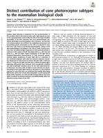 Distinct contribution of cone photoreceptor subtypes to the mammalian biological clock