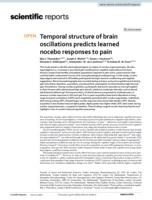 Temporal structure of brain oscillations predicts learned nocebo responses to pain