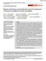 Muscle architecture is associated with muscle fat replacement in Duchenne and Becker muscular dystrophies
