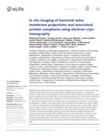 In situ imaging of bacterial outer membrane projections and associated protein complexes using electron cryo-tomography