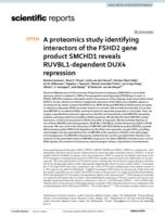 A proteomics study identifying interactors of the FSHD2 gene product SMCHD1 reveals RUVBL1-dependent DUX4 repression