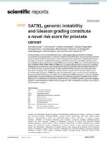 SATB1, genomic instability and Gleason grading constitute a novel risk score for prostate cancer