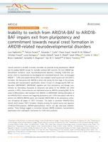 Inability to switch from ARID1A-BAF to ARID1B-BAF impairs exit from pluripotency and commitment towards neural crest formation in ARID1B-related neurodevelopmental disorders