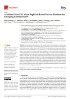 A Yellow Fever 17D virus replicon-based vaccine platform for emerging Coronaviruses