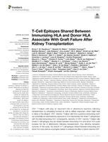 T-cell epitopes shared between immunizing HLA and donor HLA associate with graft failure after kidney transplantation