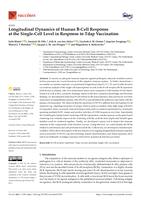Longitudinal dynamics of human B-cell response at the single-cell level in response to Tdap vaccination