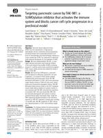 Targeting pancreatic cancer by TAK-981