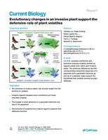 Evolutionary changes in an invasive plant support the defensive role of plant volatiles