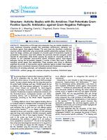 Structure-activity studies with bis-amidines that potentiate Gram-positive specific antibiotics against Gram-negative pathogens