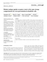 Distinct antigen uptake receptors route to the same storage compartments for cross-presentation in dendritic cells