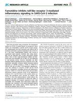 Famotidine inhibits toll-like receptor 3-mediated inflammatory signaling in SARS-CoV-2 infection