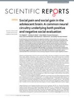 Social pain and social gain in the adolescent brain