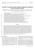 Diversity of nuclear star cluster formation mechanisms revealed by their star formation histories