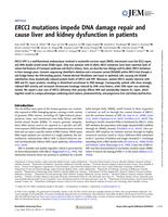 ERCC1 mutations impede DNA damage repair and cause liver and kidney dysfunction in patients