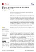 Multiscale electron microscopy for the study of viral replication organelles