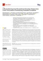 A bacterially-expressed recombinant envelope protein from Usutu virus induces neutralizing antibodies in rabbits