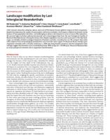 Landscape modification by Last Interglacial Neanderthals