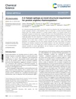 A β-hairpin epitope as novel structural requirement for protein arginine rhamnosylation