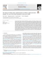 The impact of climate policy implementation on lithium, cobalt and nickel demand