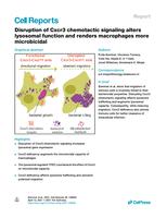 Disruption of Cxcr3 chemotactic signaling alters lysosomal function and renders macrophages more microbicidal