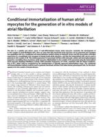 Conditional immortalization of human atrial myocytes for the generation of in vitro models of atrial fibrillation