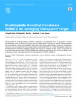 Nicotinamide N-Methyl Transferase (NNMT)