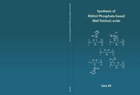 Synthesis of ribitol phosphate based wall teichoic acids