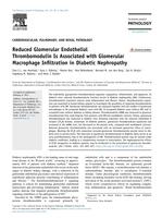 Reduced glomerular endothelial thrombomodulin is associated with glomerular macrophage infiltration in diabetic nephropathy