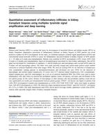 Quantitative assessment of inflammatory infiltrates in kidney transplant biopsies using multiplex tyramide signal amplification and deep learning