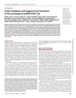 Stellar feedback and triggered star formation in the prototypical bubble RCW 120