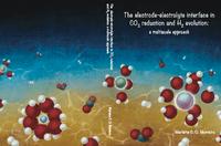 The electrode-electrolyte interface in CO2 reduction and H2 evolution