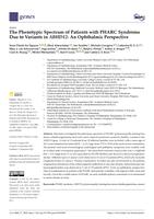 The phenotypic spectrum of patients with PHARC syndrome due to variants in ABHD12